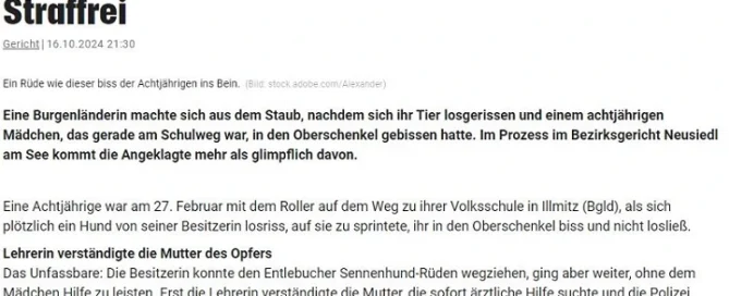 Rechtsanwalt Mag. Sascha Flatz – Medienbericht im Strafrecht aus Wien