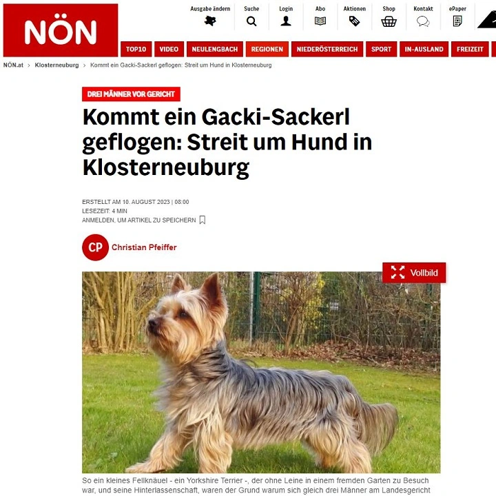 Rechtsanwalt Mag. Sascha Flatz – Pressebericht und Medienauftritt zum Strafrecht in Wien